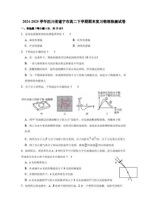 2024-2025学年四川省遂宁市高二下学期期末复习物理检测试卷(含答案)