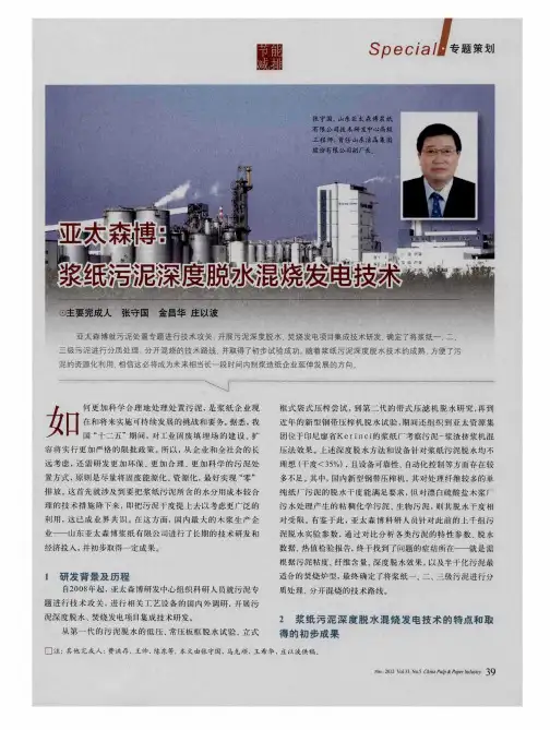 亚太森博：浆纸污泥深度脱水混烧发电技术