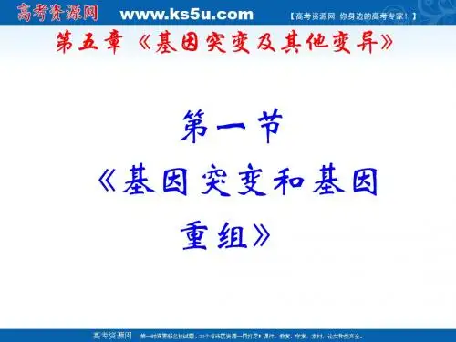 生物：5.1《基因突变和基因重组》PPT课件(新人教版-必修2)