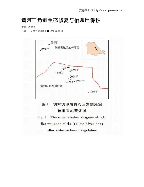 黄河三角洲生态修复与栖息地保护