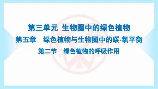 年人教版七年级上册生物第三单元生物圈中的绿色植物第五章第二节绿色植物的呼吸作用