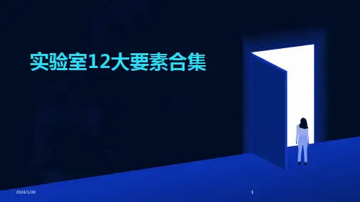 2024版实验室12大要素合集