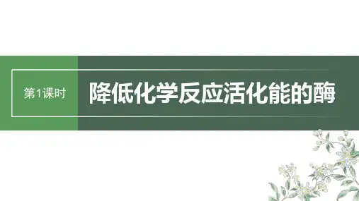 2024届高考一轮复习生物课件(新教材人教版苏冀)：降低化学反应活化能的酶