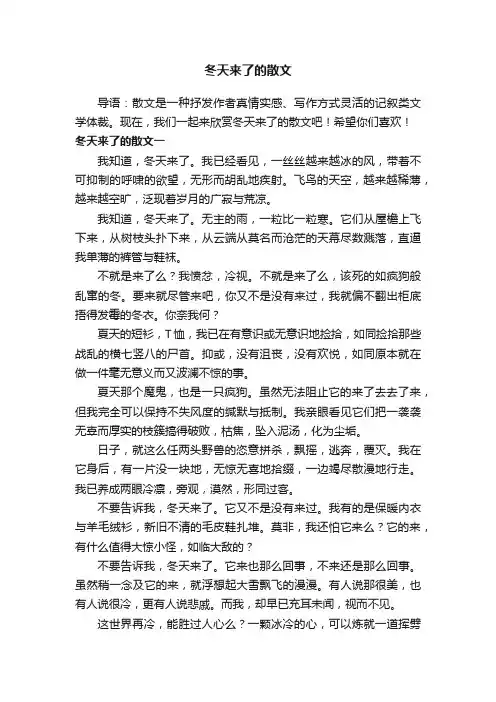 冬天来了的散文