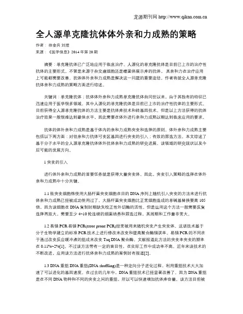全人源单克隆抗体体外亲和力成熟的策略