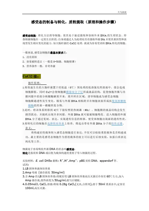 感受态的制备与转化,质粒提取(原理和操作步骤)