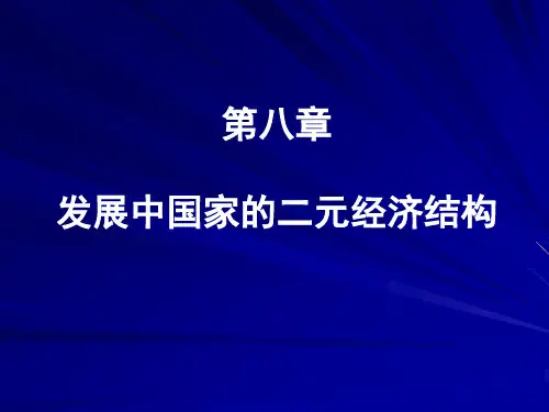 第八章：发展中国家的二元经济结构