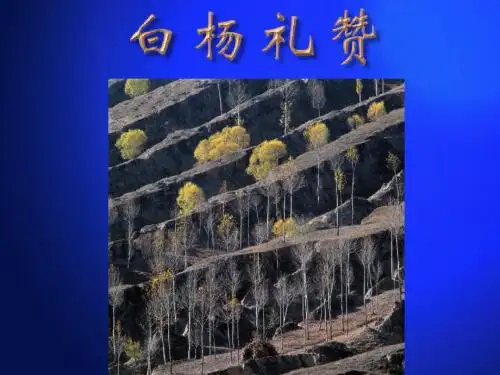 苏教版初中语文八年级下册《白杨礼赞》PPT课件