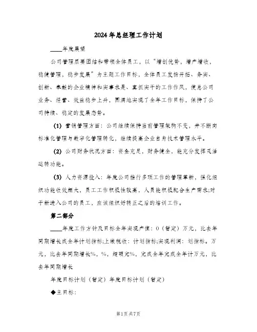 2024年总经理工作计划(3篇)