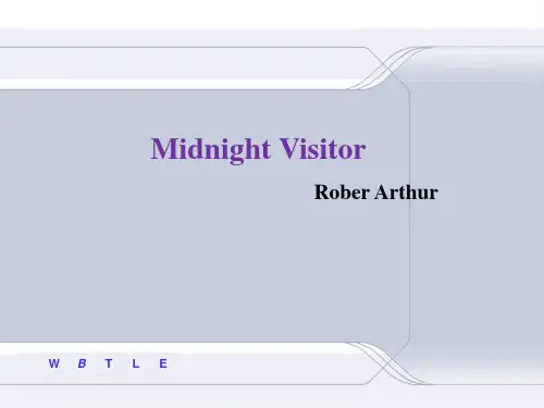 Midnight Visitor