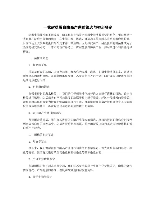 一株耐盐蛋白酶高产菌的筛选与初步鉴定