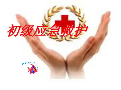 初级应急救护