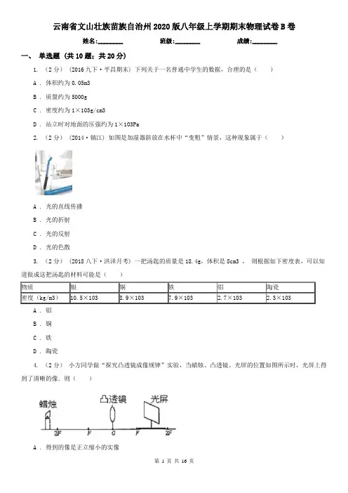 云南省文山壮族苗族自治州2020版八年级上学期期末物理试卷B卷