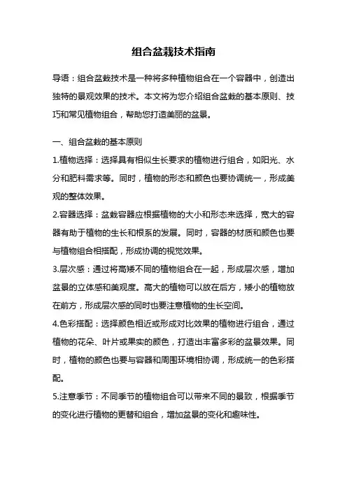 组合盆栽技术指南