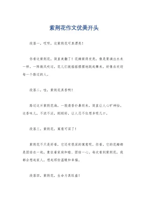 紫荆花作文优美开头