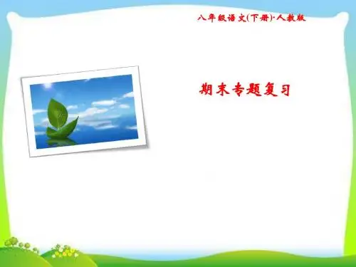 部编版人教版八年级语文下册期末专题复习 专题二 词语的理解与运用课件