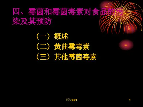 食品污染及其预防-生物性污染-霉菌