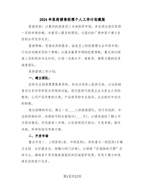 2024年医药销售经理个人工作计划模版（6篇）