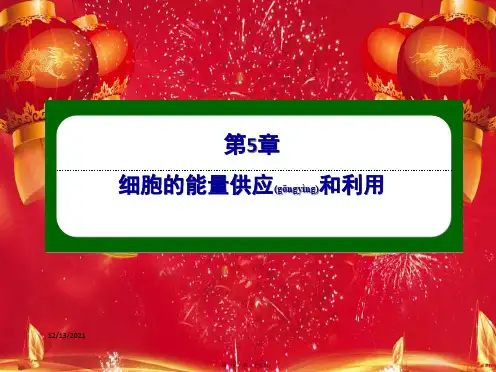 高中生物 第5章 细胞的能量供应和利用 3 atp的主要来源——细胞呼吸课件高中必修1生物课件