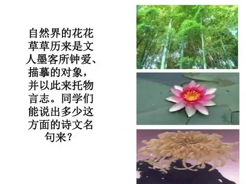 苏教初中语文八下《3石榴》PPT课件 (1)