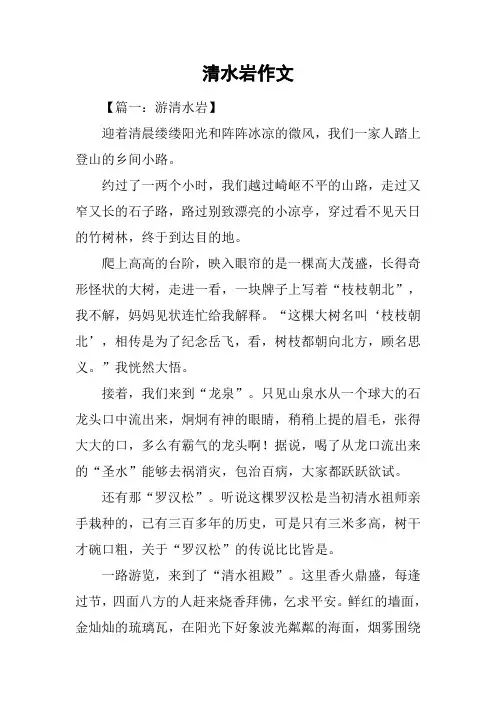 清水岩作文