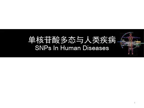 SNP与人类疾病