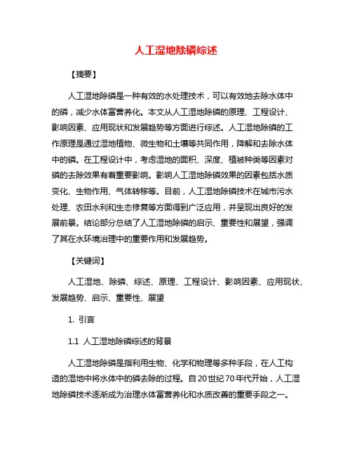 人工湿地除磷综述