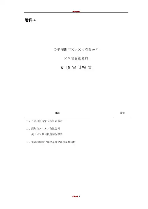 项目投资专项审计报告