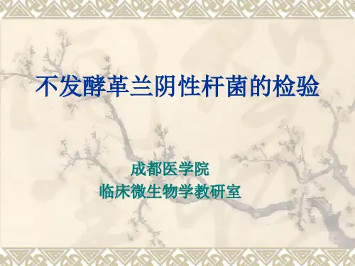非发酵菌的检验(实验)