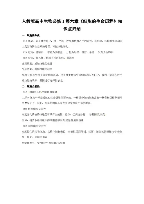 人教版高中生物必修1第六章《细胞的生命历程》知识点归纳
