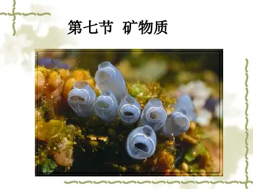 第2章 第七节-矿质元素