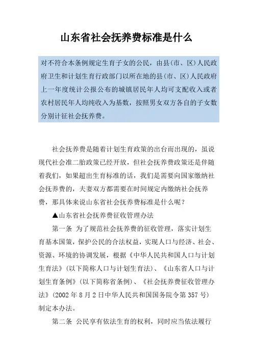 山东省社会抚养费标准是什么