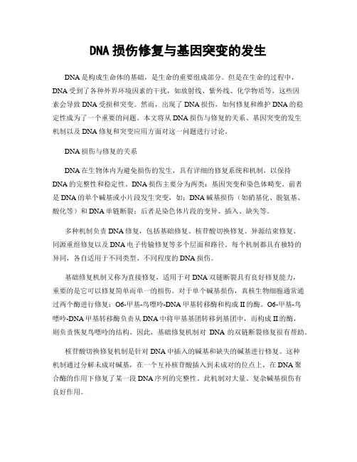 DNA损伤修复与基因突变的发生