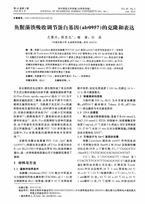 鱼腥藻铁吸收调节蛋白基因(alr0957)的克隆和表达