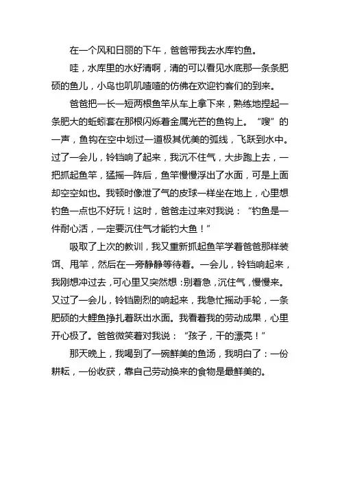 五年级周记450字钓鱼作文