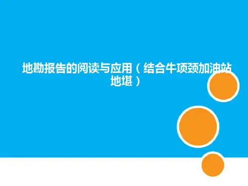 (七)地勘报告的阅读及应用