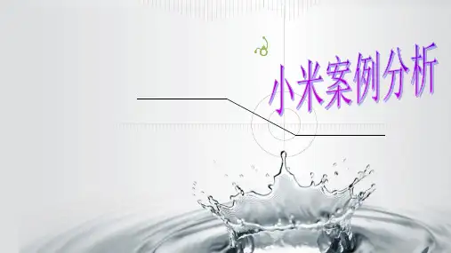 小米。ppt概述