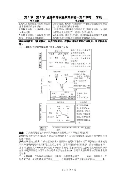 孟德尔的豌豆杂交实验(一)第2课时学案-高一下学期生物人教版必修2