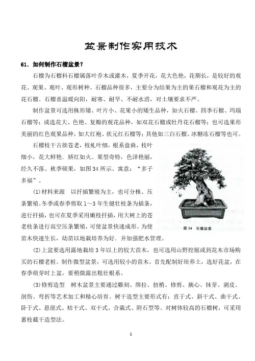 盆景制作技术教案(四).