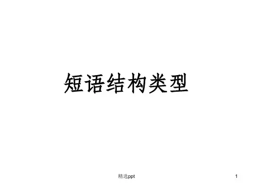 短语结构类型ppt课件