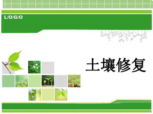 土壤污染与修复技术研究 ppt课件