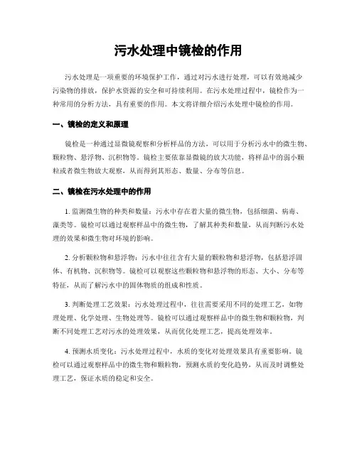 污水处理中镜检的作用