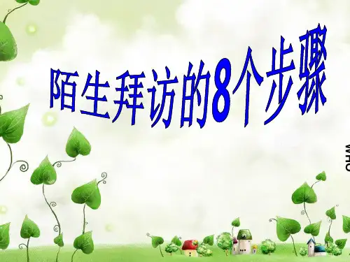 陌生拜访的8个步骤PPT精选文档