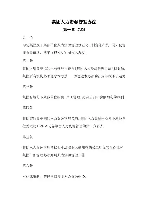 集团人力资源管理办法