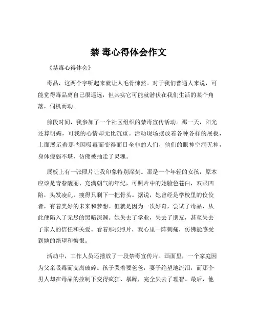 禁 毒心得体会作文