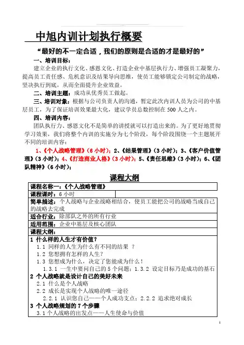 中旭内训计划执行概要