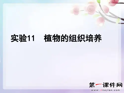 实验十一 植物的组织培养ppt-浙科版选修1PPT课件