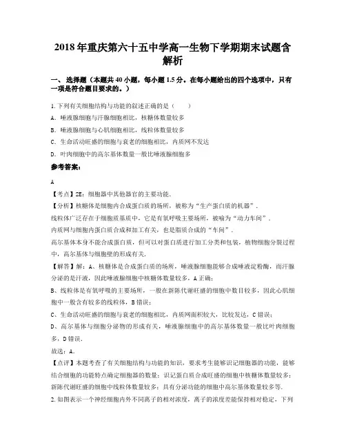 2018年重庆第六十五中学高一生物下学期期末试题含解析