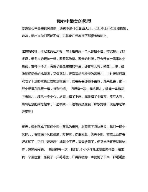 作文《我心中最美的风景》