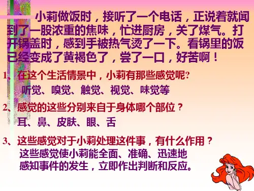 人体对信息的感知ppt1 苏科版